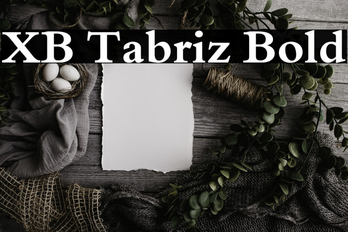 XB Tabriz Bold Example 3