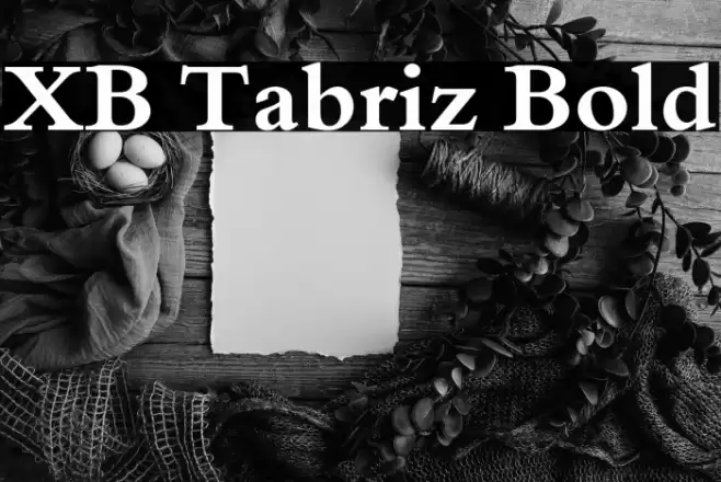 XB Tabriz Bold Font examples
