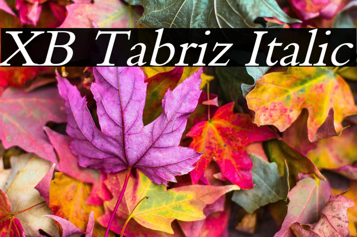 XB Tabriz Italic Example 1