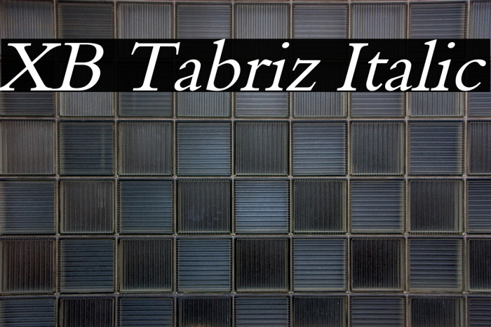 XB Tabriz Italic Example 3