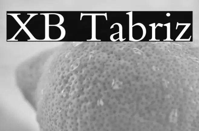 XB Tabriz Example 2