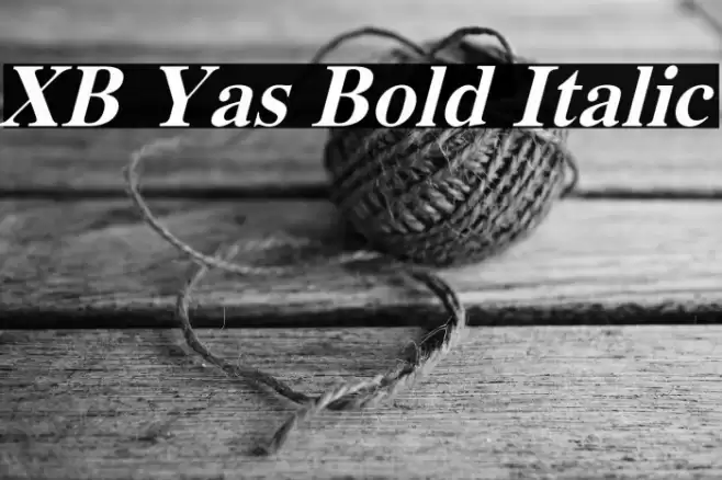 XB Yas Bold Italic Font examples