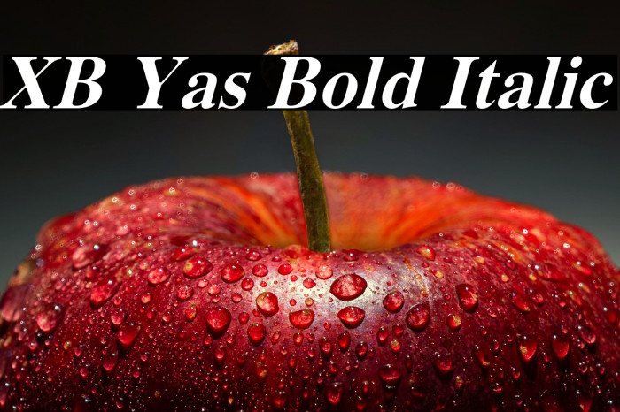 XB Yas Bold Italic Example 2