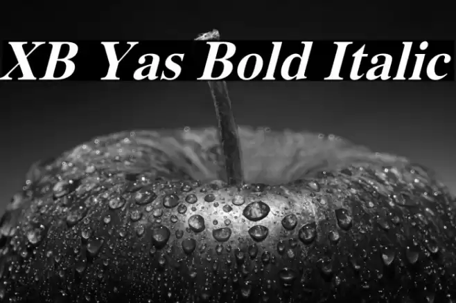 XB Yas Bold Italic Font examples