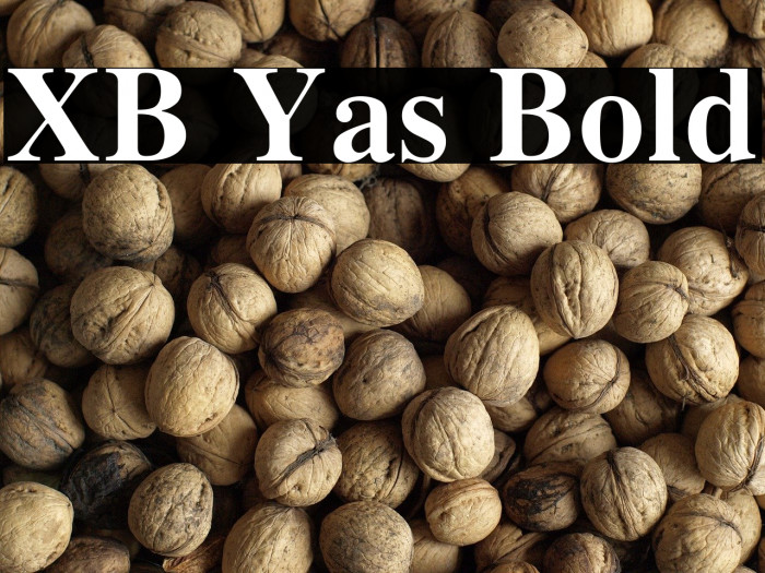 XB Yas Bold Example 1