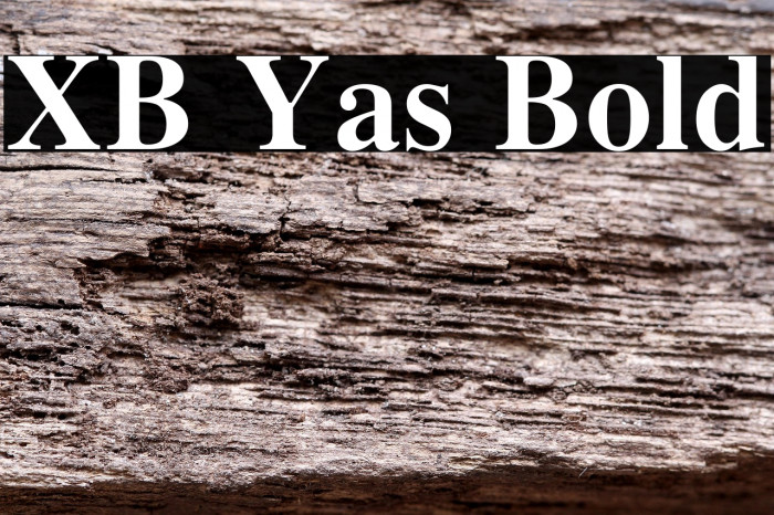 XB Yas Bold Example 2