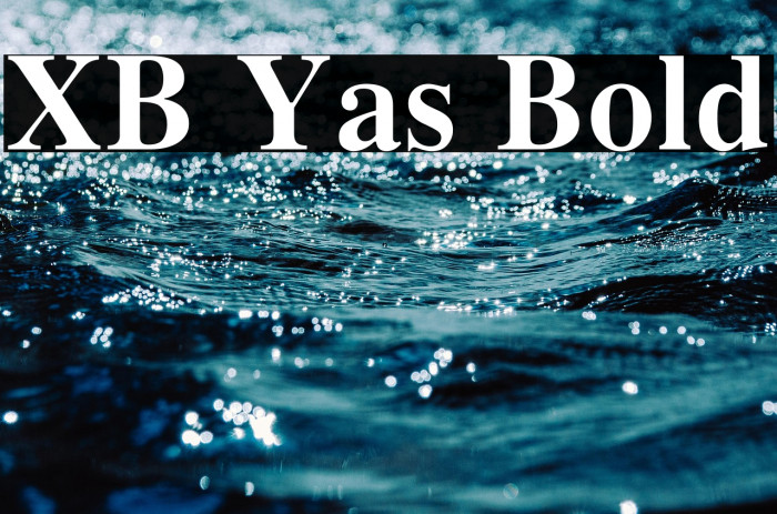 XB Yas Bold Example 3