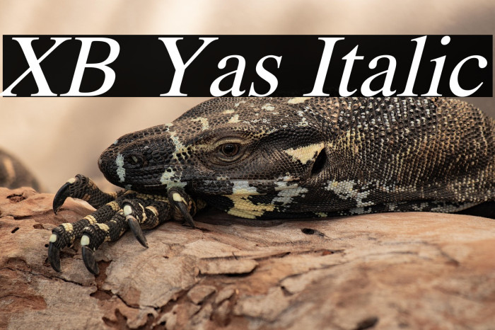 XB Yas Italic Example 1