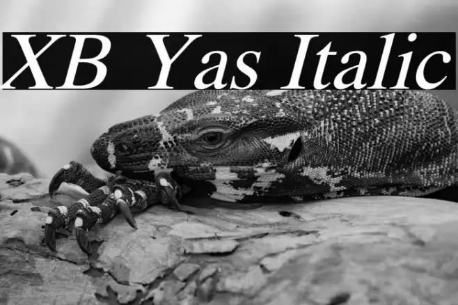 XB Yas Italic Font examples