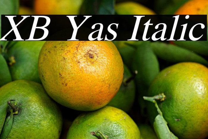 XB Yas Italic Example 3