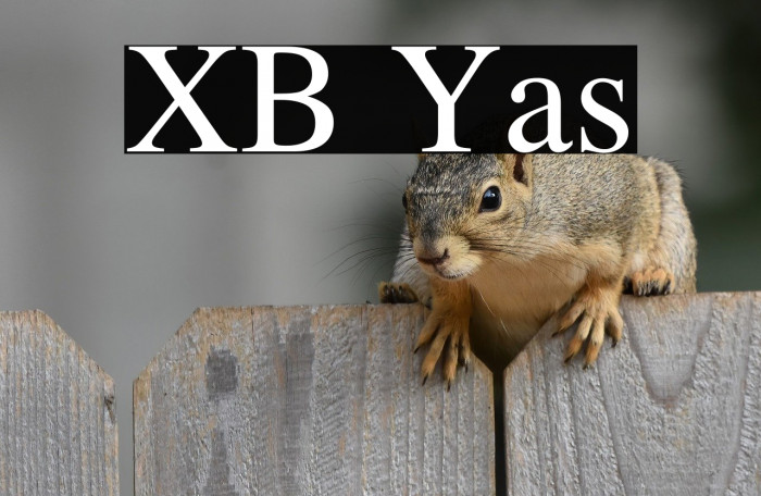 XB Yas Example 1