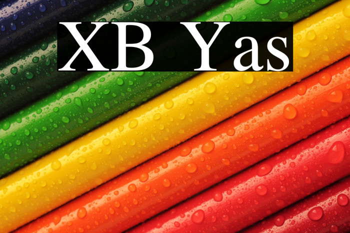 XB Yas Example 3