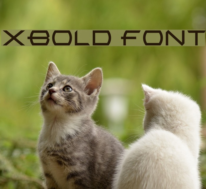 XBold Font examples
