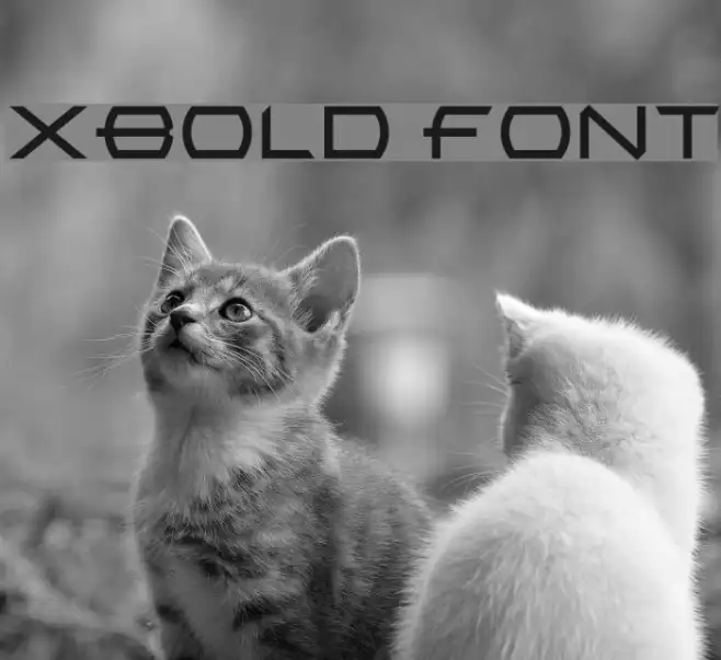 XBold Example 3