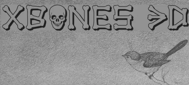 xBONES 3D Example 1