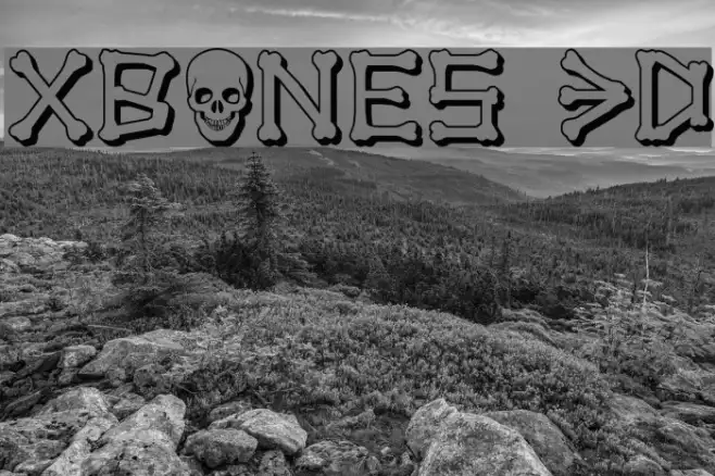 xBONES 3D Example 2