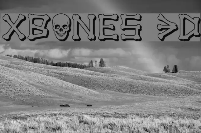 xBONES 3D Example 3