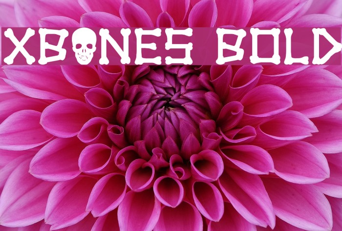 xBONES Bold Font examples