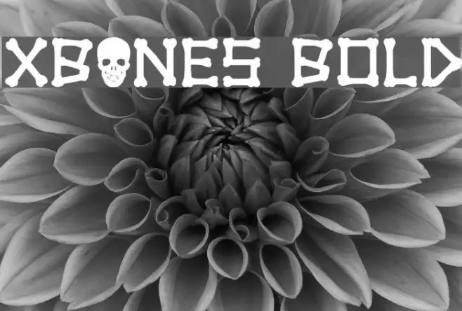 xBONES Bold Example 2