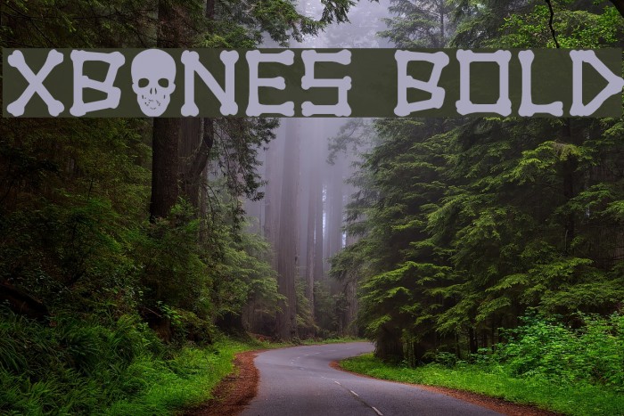 xBONES Bold Font examples