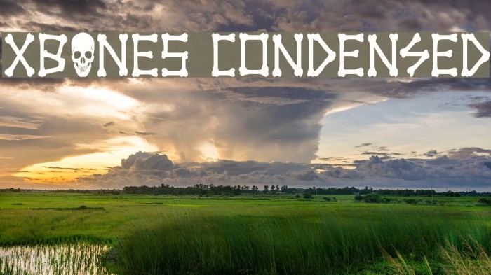 xBONES Condensed Example 1