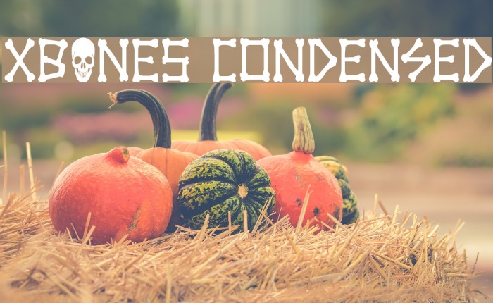 xBONES Condensed Example 3