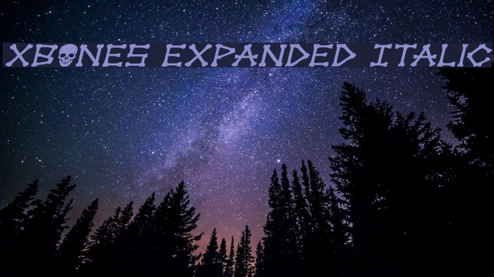 xBONES Expanded Italic Font examples
