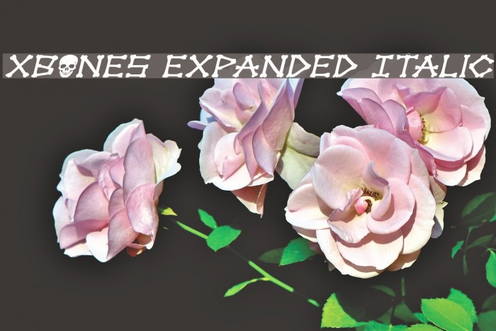 xBONES Expanded Italic Font examples