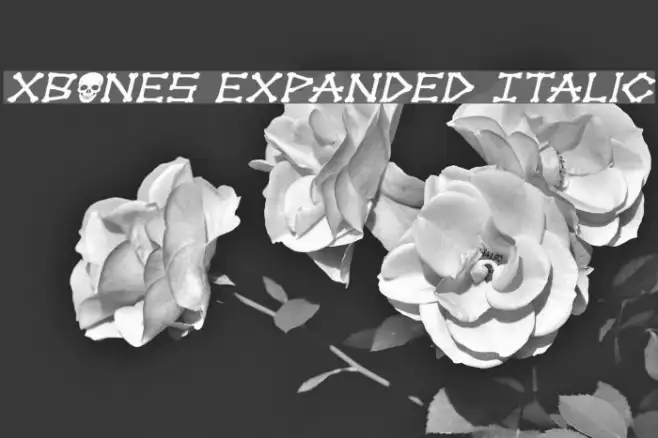 xBONES Expanded Italic Example 3