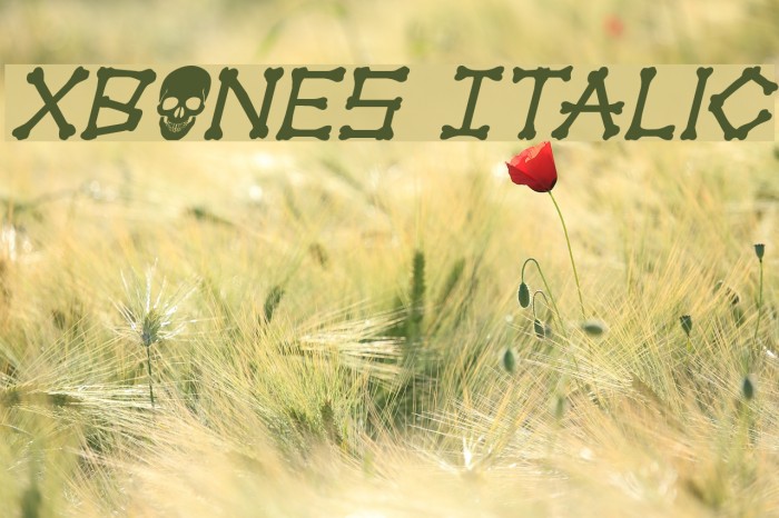 xBONES Italic Font examples