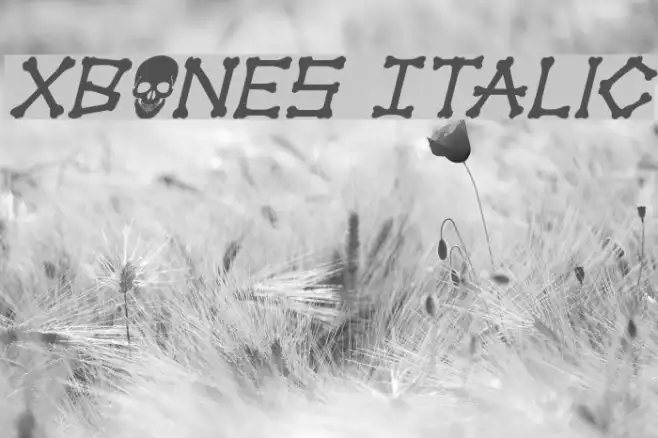 xBONES Italic Example 1