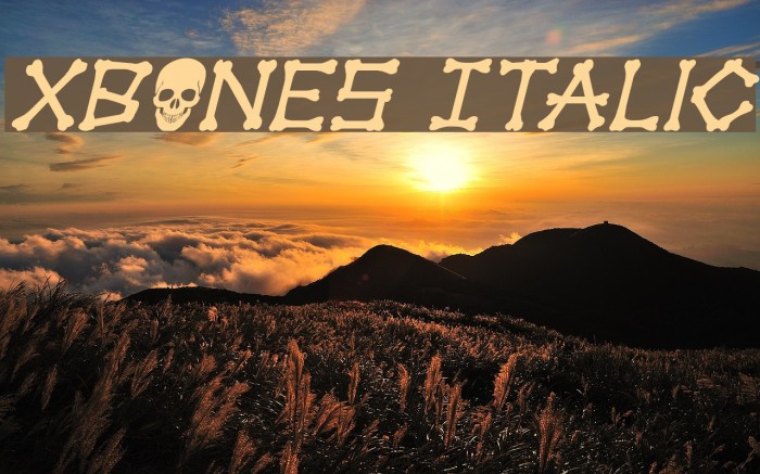 xBONES Italic Font examples