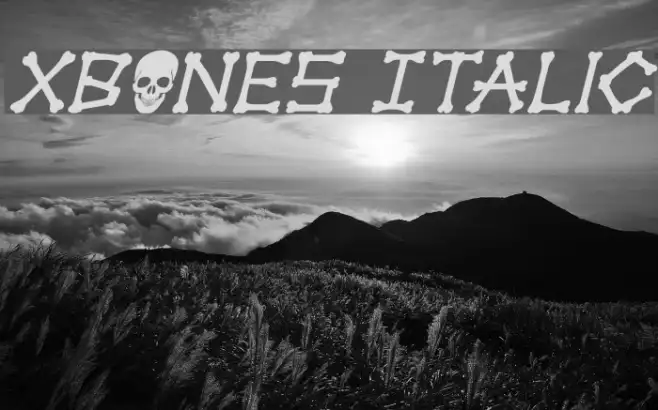 xBONES Italic Example 3