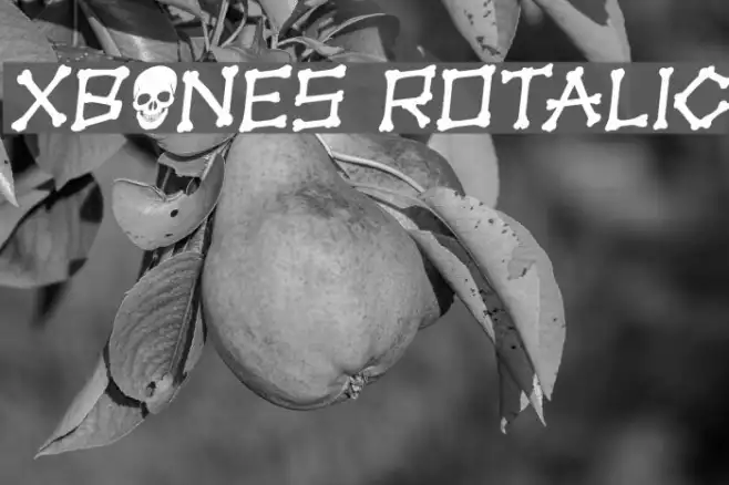 xBONES Rotalic Example 1