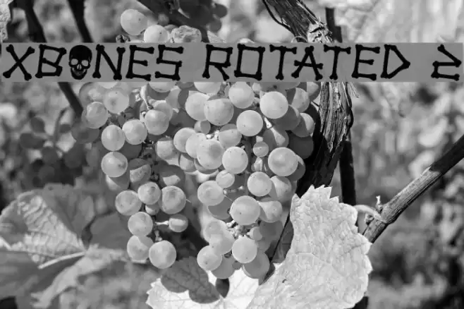 xBONES Rotated 2 Font examples