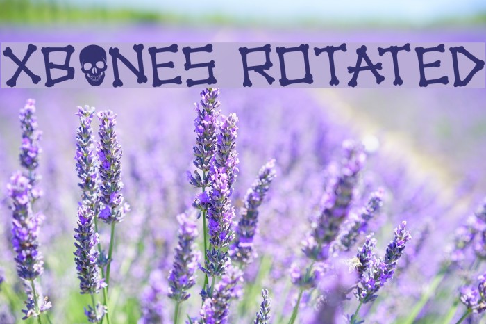 xBONES Rotated Example 1