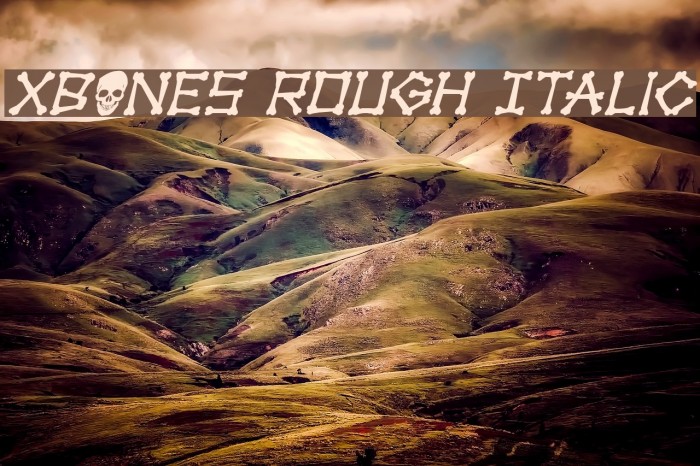 xBONES Rough Italic Example 2