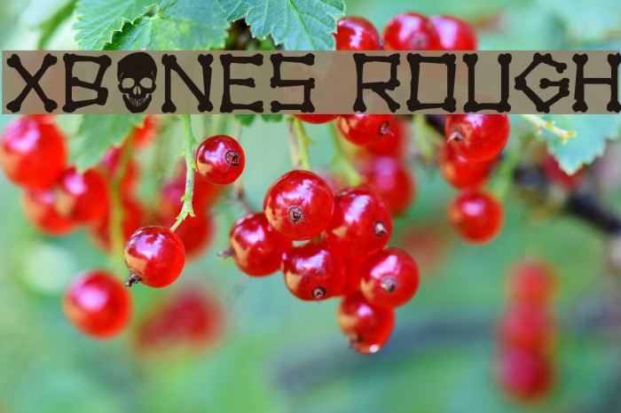 xBONES Rough Font examples