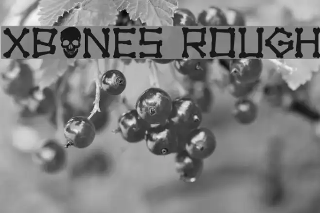 xBONES Rough Example 1