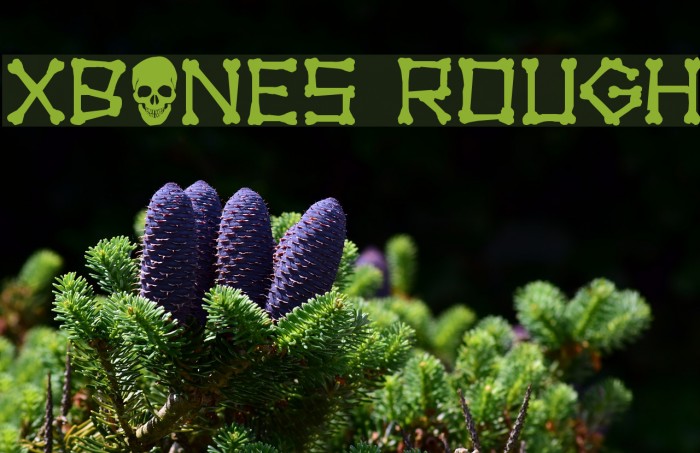 xBONES Rough Font examples