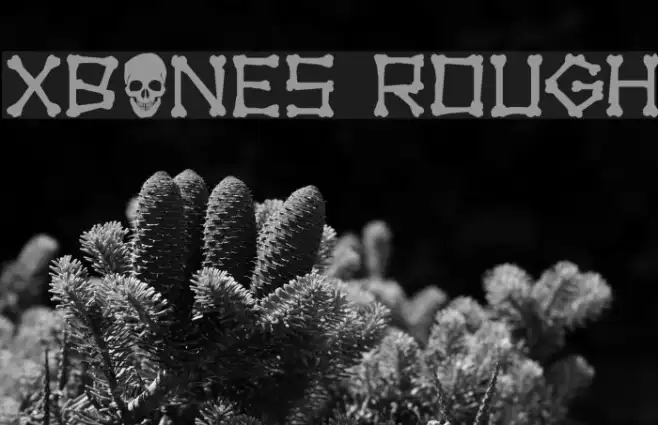 xBONES Rough Example 3