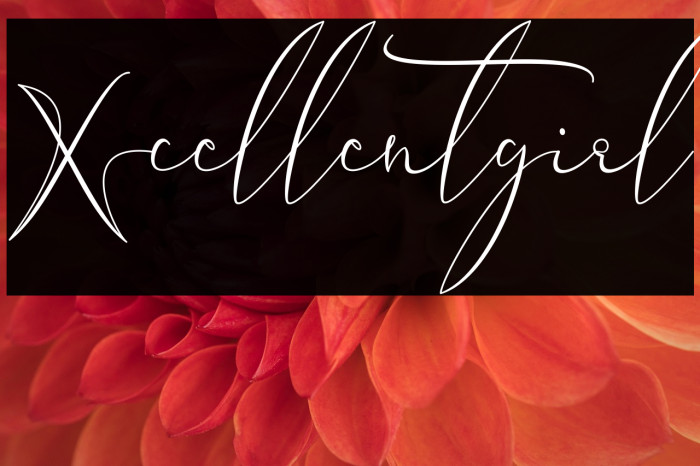 Xcellentgirl Example 2