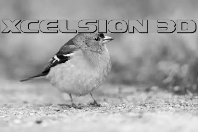 Xcelsion 3D Example 3