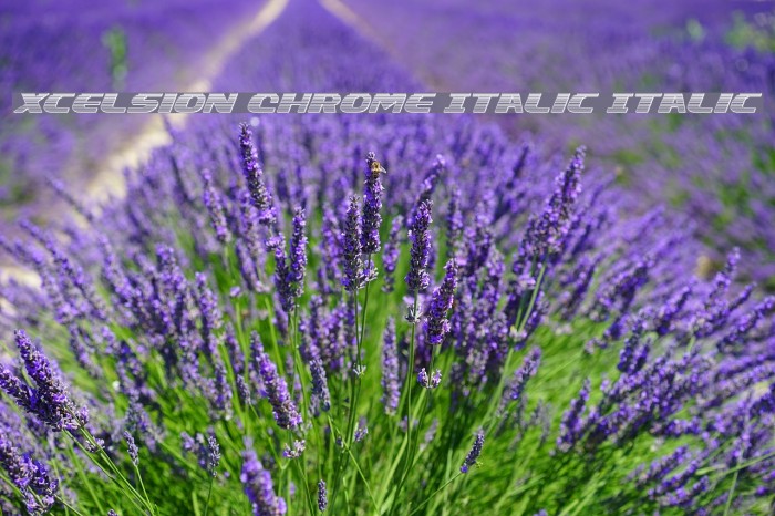 Xcelsion Chrome Italic Italic Font examples