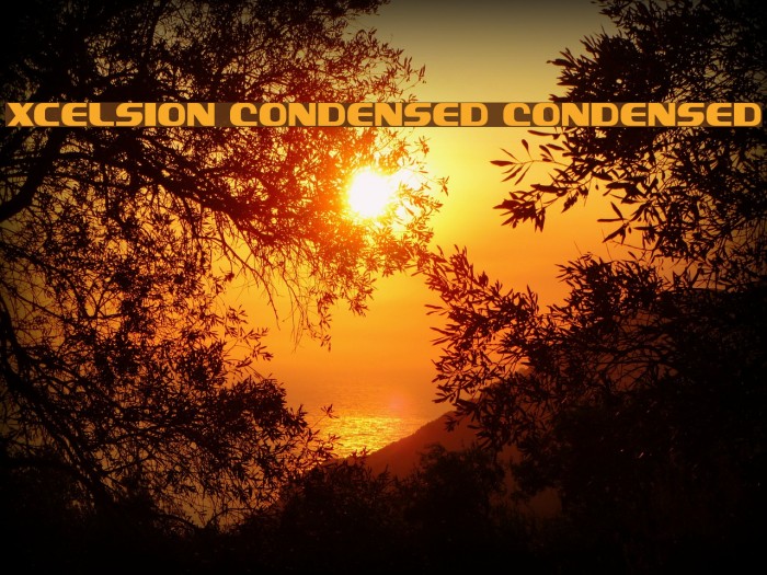 Xcelsion Condensed Condensed Font examples