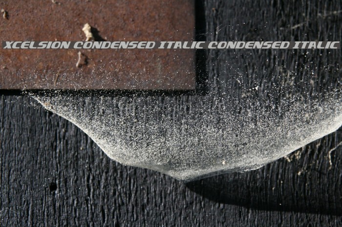 Xcelsion Condensed Italic Condensed Italic Example 1