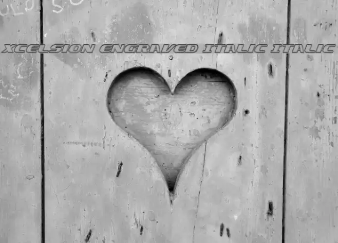 Xcelsion Engraved Italic Italic Font examples