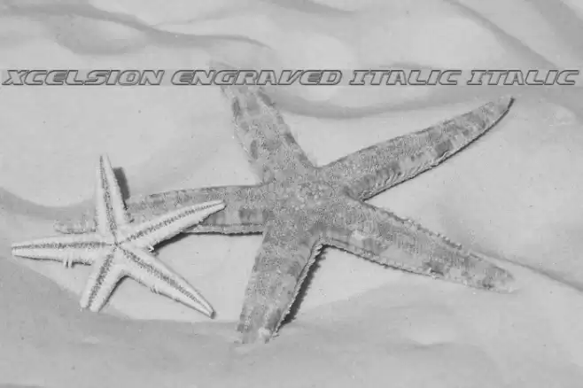 Xcelsion Engraved Italic Italic Font examples