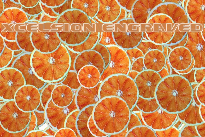 Xcelsion Engraved Font examples