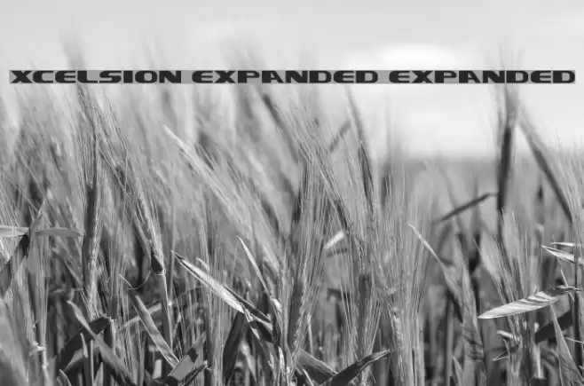 Xcelsion Expanded Expanded Font examples